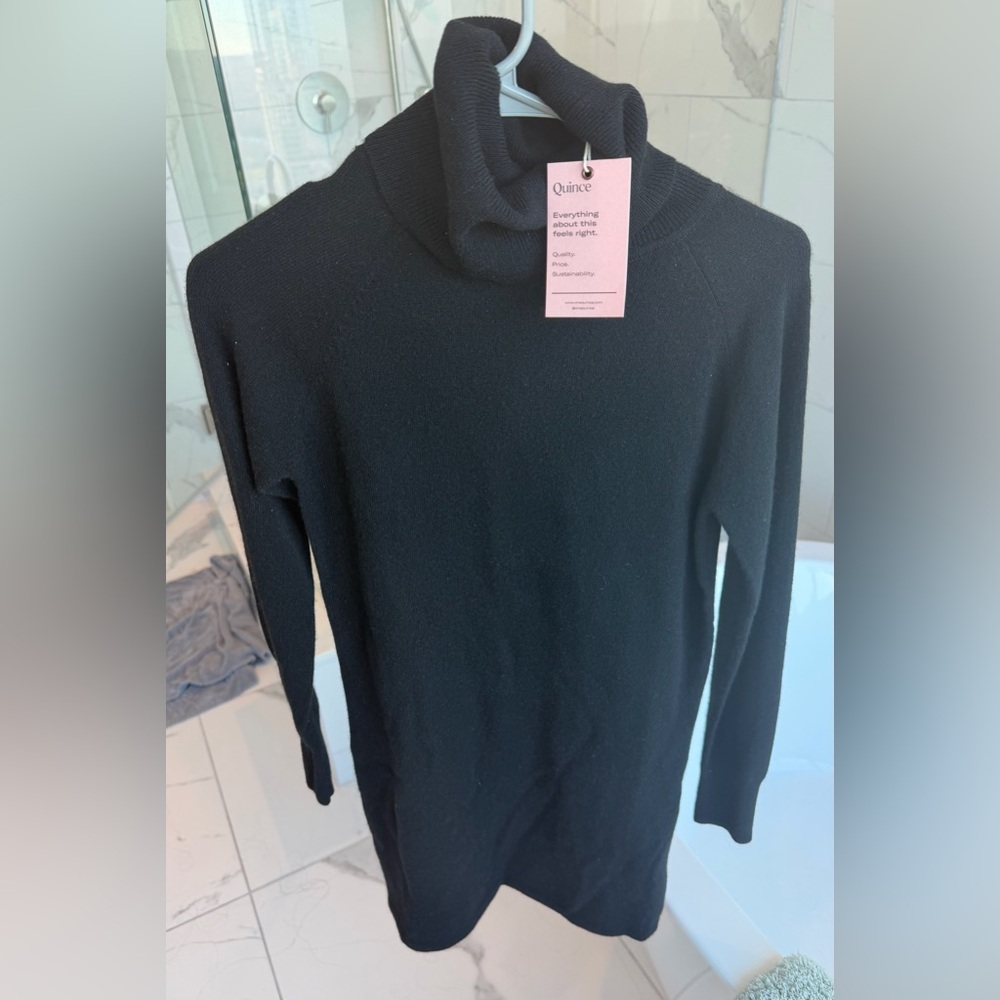 Quince Elegant Black Turtleneck Dress
